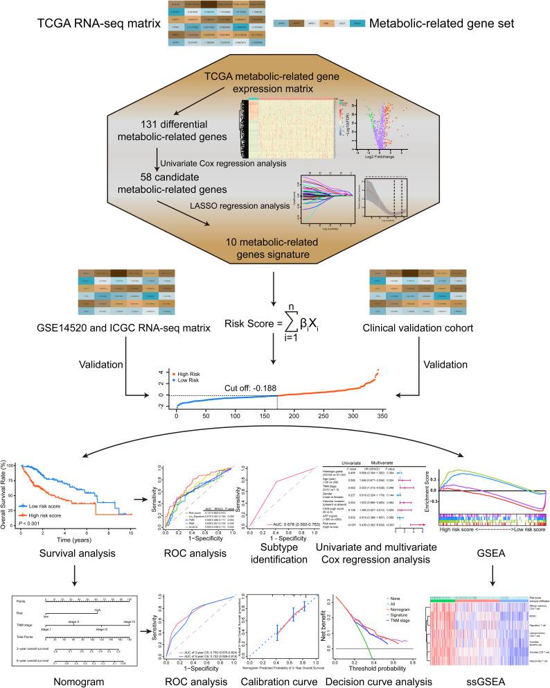 https://cdn.ncbi.nlm.nih.gov/pmc/blobs/2b32/8018394/15b33e70bdf3/JHC-8-193-g0001.jpg