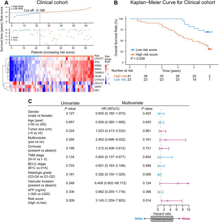 https://cdn.ncbi.nlm.nih.gov/pmc/blobs/2b32/8018394/4c4d7ff03213/JHC-8-193-g0005.jpg