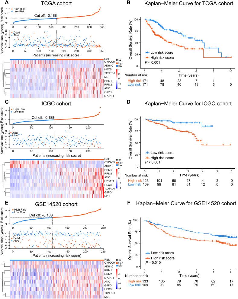https://cdn.ncbi.nlm.nih.gov/pmc/blobs/2b32/8018394/869a7a698502/JHC-8-193-g0002.jpg