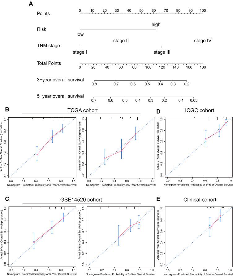 https://cdn.ncbi.nlm.nih.gov/pmc/blobs/2b32/8018394/b0f3b8cc1cd2/JHC-8-193-g0006.jpg