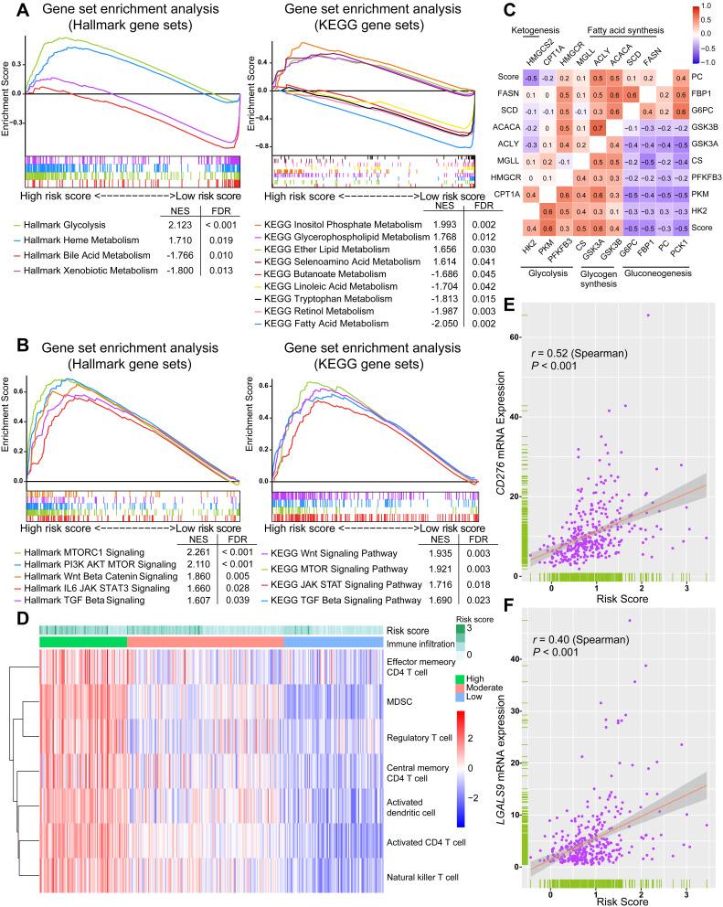 https://cdn.ncbi.nlm.nih.gov/pmc/blobs/2b32/8018394/ebdd0454eb1d/JHC-8-193-g0004.jpg