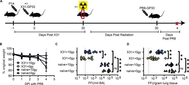 https://cdn.ncbi.nlm.nih.gov/pmc/blobs/2b34/10873130/6c1c355e27ad/JEM_20231144_Fig2.jpg
