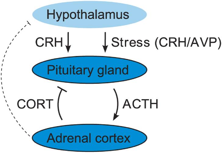 https://cdn.ncbi.nlm.nih.gov/pmc/blobs/2b34/10937706/21966850e4e0/gr1.jpg