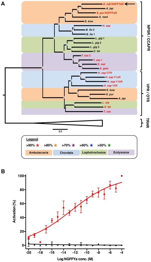 https://cdn.ncbi.nlm.nih.gov/pmc/blobs/2b34/6156427/00960a19e282/fendo-09-00507-g0003.jpg
