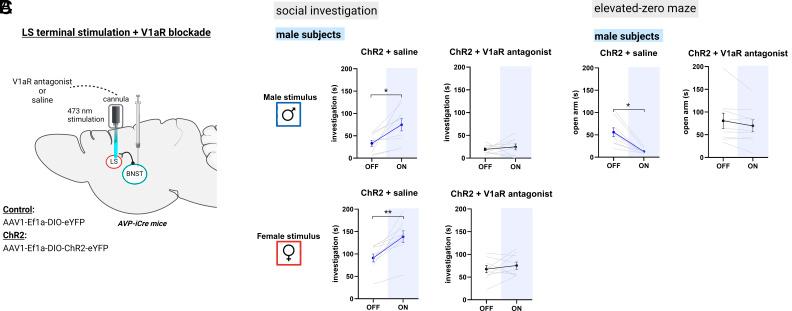 https://cdn.ncbi.nlm.nih.gov/pmc/blobs/2b35/11098102/14910841b202/pnas.2319641121fig06.jpg
