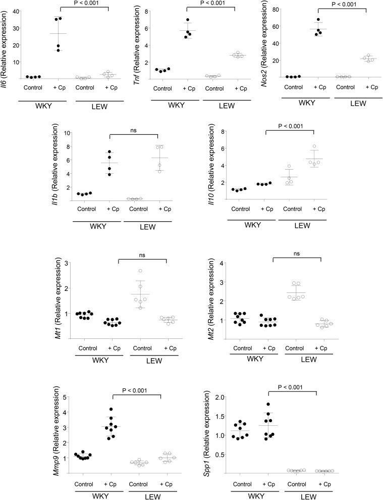https://cdn.ncbi.nlm.nih.gov/pmc/blobs/2b35/5499168/4d639d55bfc2/1139fig4.jpg