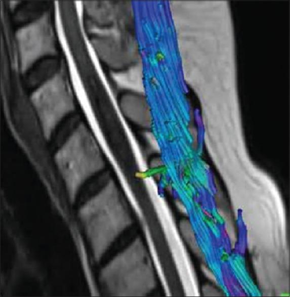 https://cdn.ncbi.nlm.nih.gov/pmc/blobs/2b35/6469325/562dff848a31/JCVJS-10-10-g002.jpg