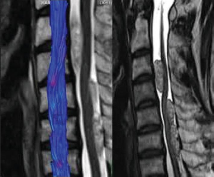 https://cdn.ncbi.nlm.nih.gov/pmc/blobs/2b35/6469325/f2d31d42ff26/JCVJS-10-10-g001.jpg