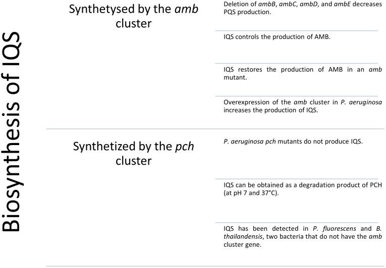 https://cdn.ncbi.nlm.nih.gov/pmc/blobs/2b36/12116448/f38bb3f4447d/fcimb-15-1575421-g004.jpg
