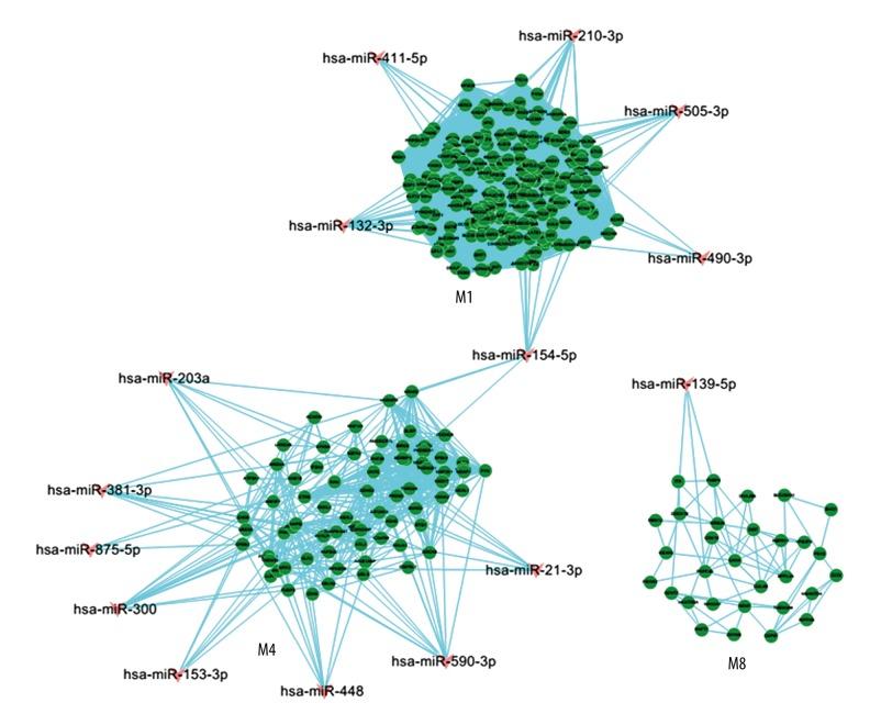 https://cdn.ncbi.nlm.nih.gov/pmc/blobs/2b37/5228761/d11a4cffcfaa/medscimonit-23-38-g003.jpg