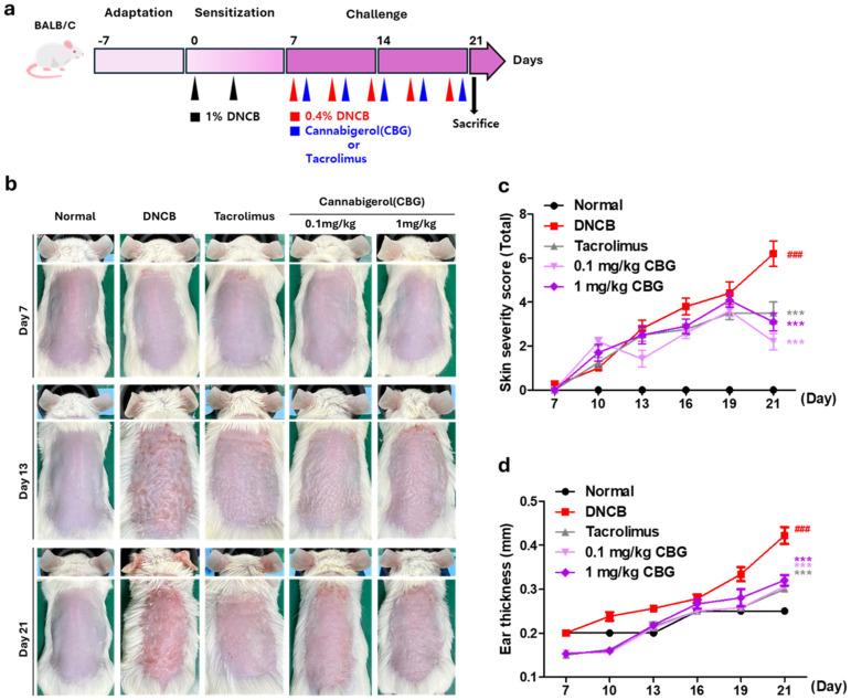 https://cdn.ncbi.nlm.nih.gov/pmc/blobs/2b38/11764157/9920076d7300/cells-14-00083-g002.jpg