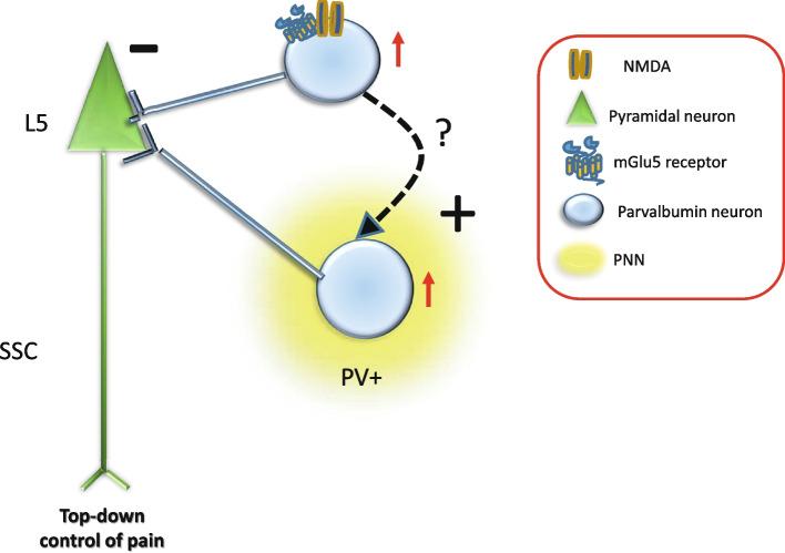 https://cdn.ncbi.nlm.nih.gov/pmc/blobs/2b3c/11846390/40b3257635a1/44158_2025_228_Fig1_HTML.jpg