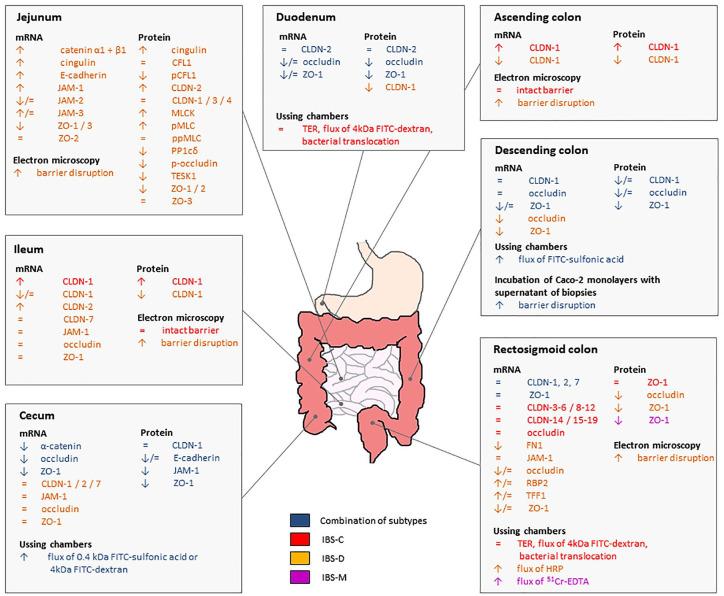 https://cdn.ncbi.nlm.nih.gov/pmc/blobs/2b3c/7925957/610ce92a2ac2/10.1177_1756284821993586-fig3.jpg