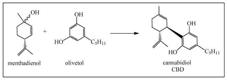 https://cdn.ncbi.nlm.nih.gov/pmc/blobs/2b3d/11200837/25447bb3291c/biomedicines-12-01185-g006.jpg