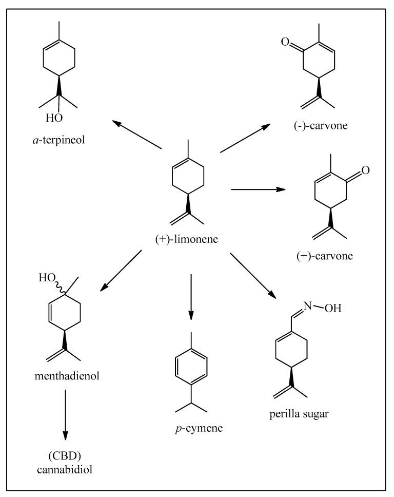 https://cdn.ncbi.nlm.nih.gov/pmc/blobs/2b3d/11200837/3a6a5106f50a/biomedicines-12-01185-g005.jpg