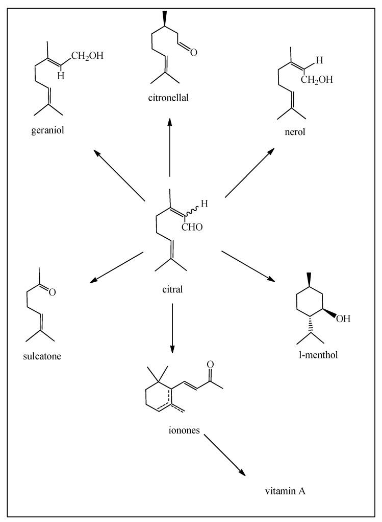 https://cdn.ncbi.nlm.nih.gov/pmc/blobs/2b3d/11200837/3e1b21e31b01/biomedicines-12-01185-g010.jpg