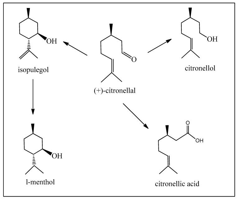 https://cdn.ncbi.nlm.nih.gov/pmc/blobs/2b3d/11200837/40ddfdbfde29/biomedicines-12-01185-g008.jpg