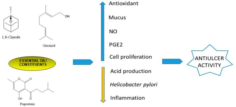 https://cdn.ncbi.nlm.nih.gov/pmc/blobs/2b3d/11200837/5d665c5d7009/biomedicines-12-01185-g013.jpg