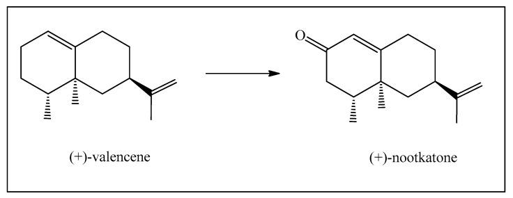 https://cdn.ncbi.nlm.nih.gov/pmc/blobs/2b3d/11200837/76a9cdbcbc46/biomedicines-12-01185-g012.jpg