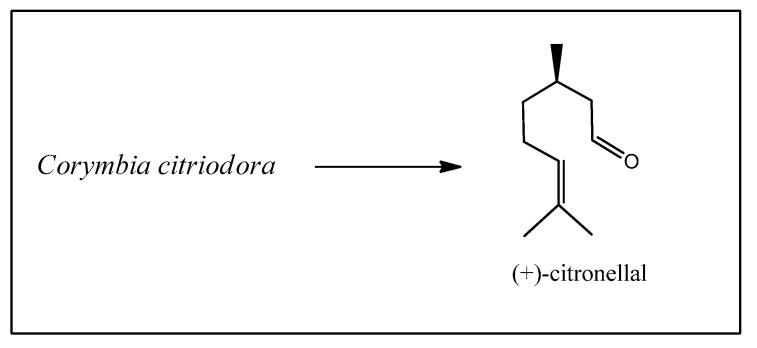 https://cdn.ncbi.nlm.nih.gov/pmc/blobs/2b3d/11200837/d58d041ab388/biomedicines-12-01185-g007.jpg