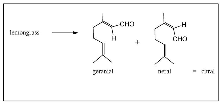 https://cdn.ncbi.nlm.nih.gov/pmc/blobs/2b3d/11200837/d71d827a3a80/biomedicines-12-01185-g009.jpg