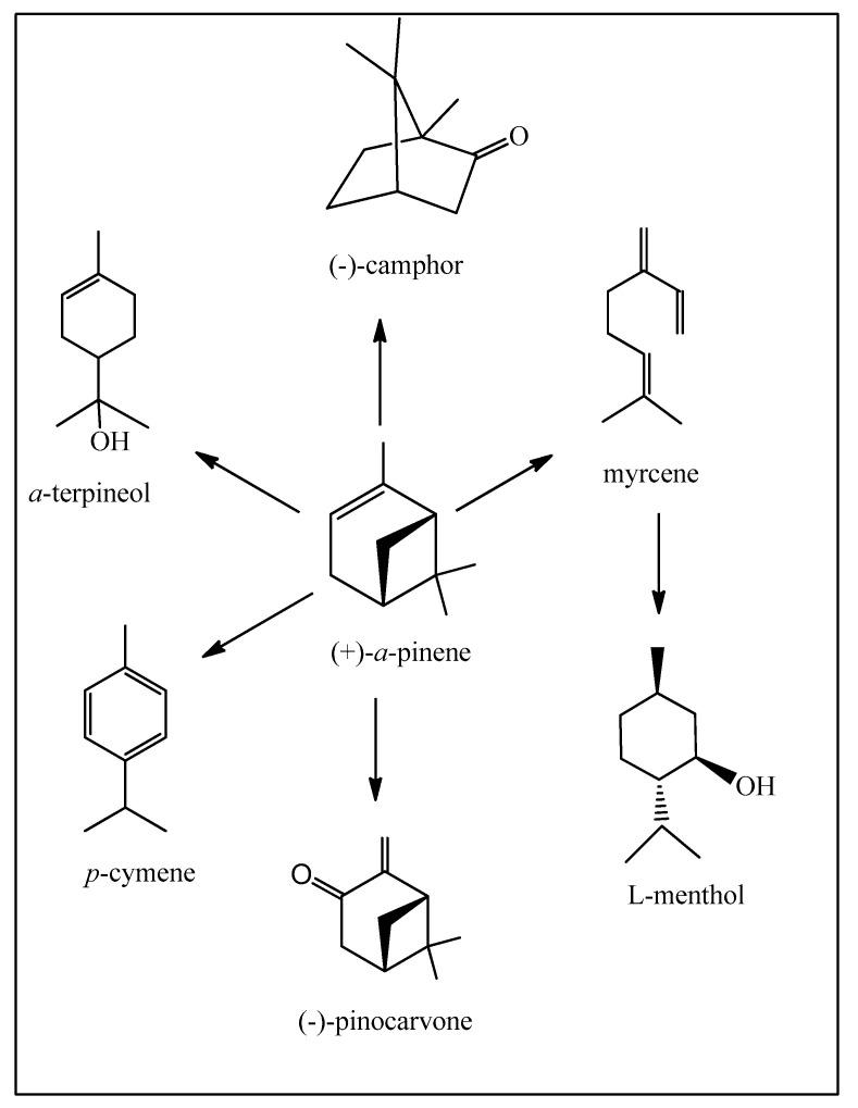 https://cdn.ncbi.nlm.nih.gov/pmc/blobs/2b3d/11200837/f83cea3fa147/biomedicines-12-01185-g003.jpg