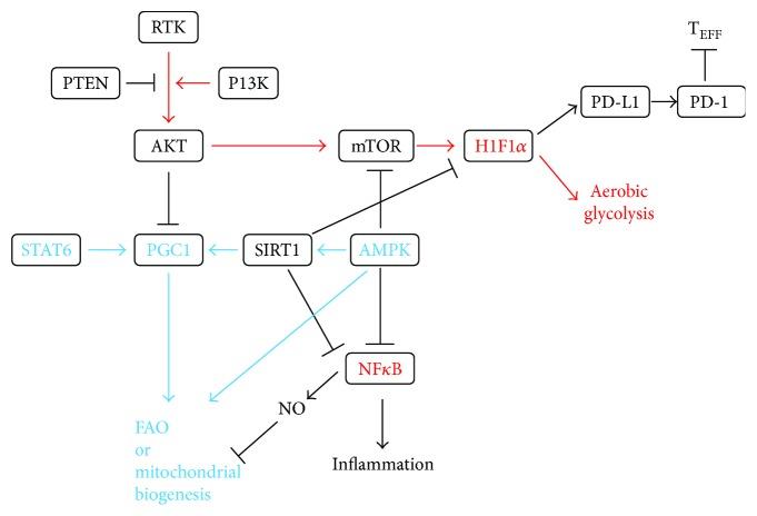 https://cdn.ncbi.nlm.nih.gov/pmc/blobs/2b3e/5831954/02faa334b043/JIR2018-8605471.001.jpg