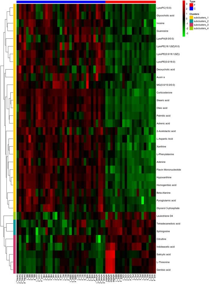 https://cdn.ncbi.nlm.nih.gov/pmc/blobs/2b3e/6538947/ea8f7b8fdc05/fmicb-10-01116-g0007.jpg