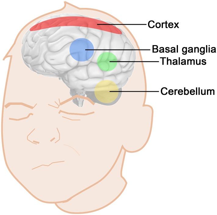https://cdn.ncbi.nlm.nih.gov/pmc/blobs/2b3f/5373520/f5c41d26c888/pcbi.1005395.g001.jpg