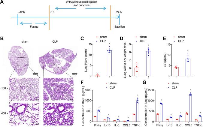 https://cdn.ncbi.nlm.nih.gov/pmc/blobs/2b40/11511807/0b7f94180ab1/18_2024_5474_Fig1_HTML.jpg