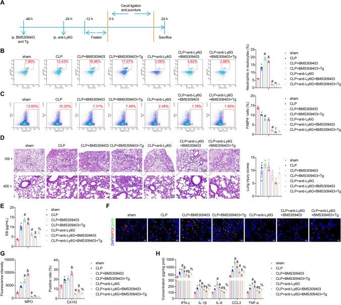 https://cdn.ncbi.nlm.nih.gov/pmc/blobs/2b40/11511807/196520b82163/18_2024_5474_Fig6_HTML.jpg