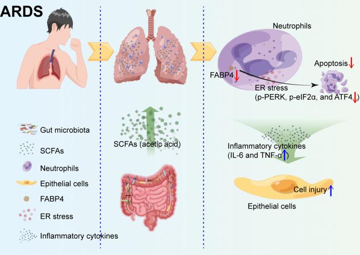 https://cdn.ncbi.nlm.nih.gov/pmc/blobs/2b40/11511807/8d837f3cac1b/18_2024_5474_Fig7_HTML.jpg