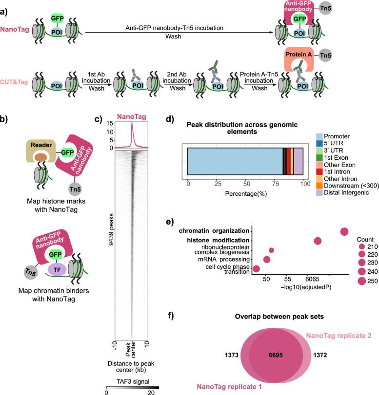 https://cdn.ncbi.nlm.nih.gov/pmc/blobs/2b41/12325602/223ea646fe89/41598_2025_13316_Fig1_HTML.jpg