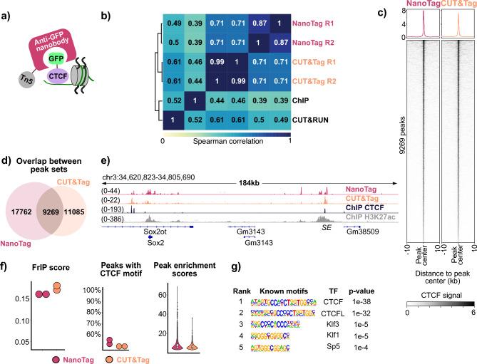 https://cdn.ncbi.nlm.nih.gov/pmc/blobs/2b41/12325602/4452aca25d1b/41598_2025_13316_Fig4_HTML.jpg