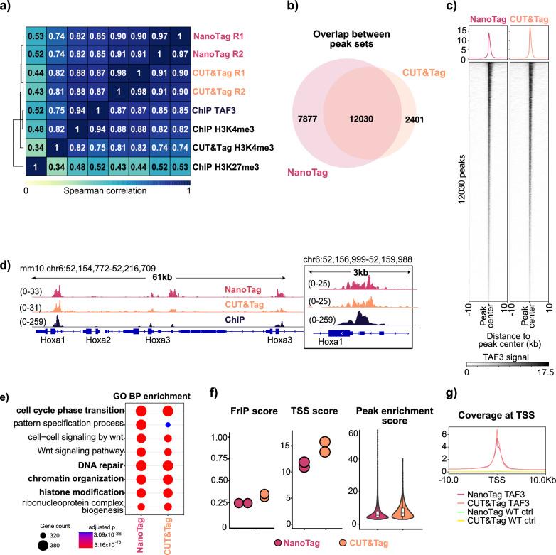 https://cdn.ncbi.nlm.nih.gov/pmc/blobs/2b41/12325602/4ca6d507d7a9/41598_2025_13316_Fig2_HTML.jpg