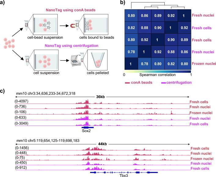https://cdn.ncbi.nlm.nih.gov/pmc/blobs/2b41/12325602/ea23a88ddbad/41598_2025_13316_Fig5_HTML.jpg