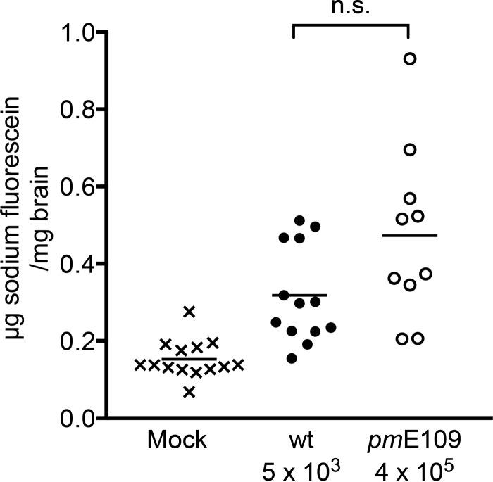 https://cdn.ncbi.nlm.nih.gov/pmc/blobs/2b41/4894691/13f2ec881567/sph0021620700003.jpg