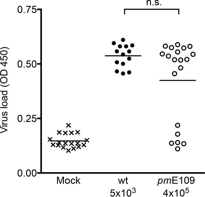https://cdn.ncbi.nlm.nih.gov/pmc/blobs/2b41/4894691/37efc0192f54/sph0021620700002.jpg