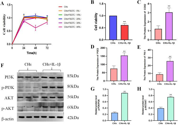 https://cdn.ncbi.nlm.nih.gov/pmc/blobs/2b42/12182235/19f1a1d071c7/DDDT-19-5123-g0007.jpg