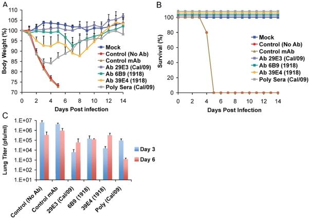 https://cdn.ncbi.nlm.nih.gov/pmc/blobs/2b44/2813279/0b02eb998eb1/ppat.1000745.g004.jpg