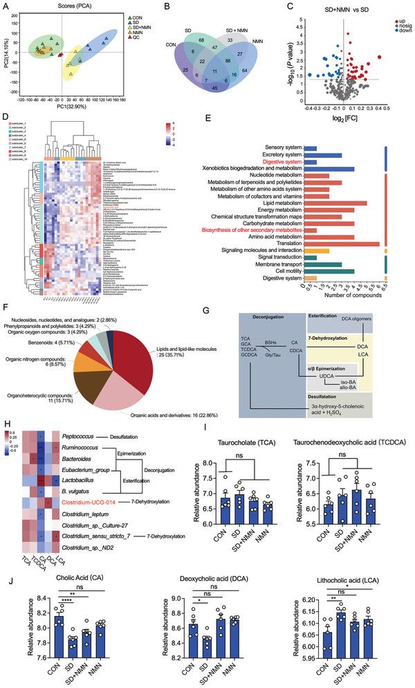 https://cdn.ncbi.nlm.nih.gov/pmc/blobs/2b45/10037695/40b7b7097950/ADVS-10-2207170-g001.jpg