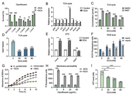 https://cdn.ncbi.nlm.nih.gov/pmc/blobs/2b45/10037695/733eb43643cb/ADVS-10-2207170-g005.jpg