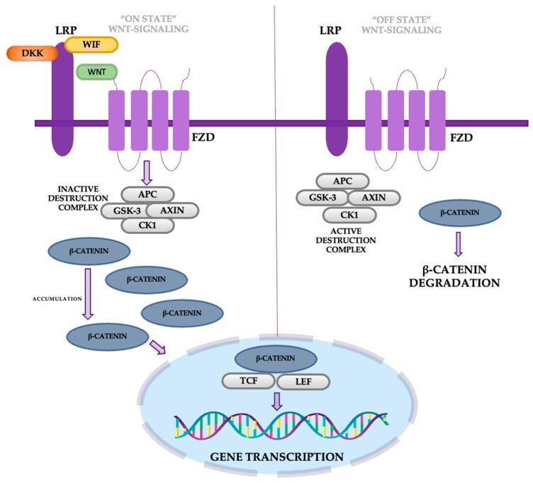 https://cdn.ncbi.nlm.nih.gov/pmc/blobs/2b47/11639944/3acb3b9decac/cancers-16-04048-g009.jpg