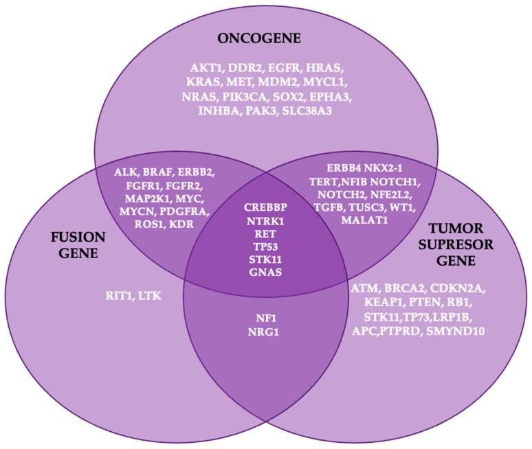 https://cdn.ncbi.nlm.nih.gov/pmc/blobs/2b47/11639944/9b271c2a4852/cancers-16-04048-g003.jpg