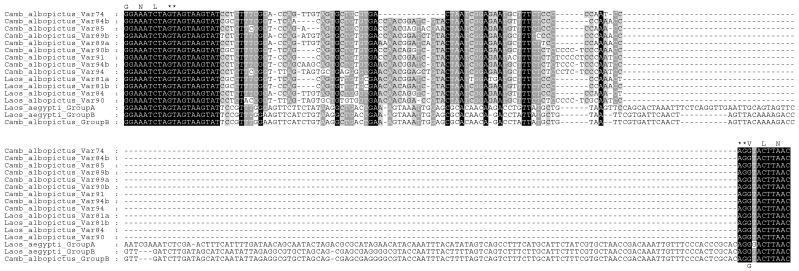 https://cdn.ncbi.nlm.nih.gov/pmc/blobs/2b4a/11122440/8a8cd5c5cb40/insects-15-00358-g004.jpg