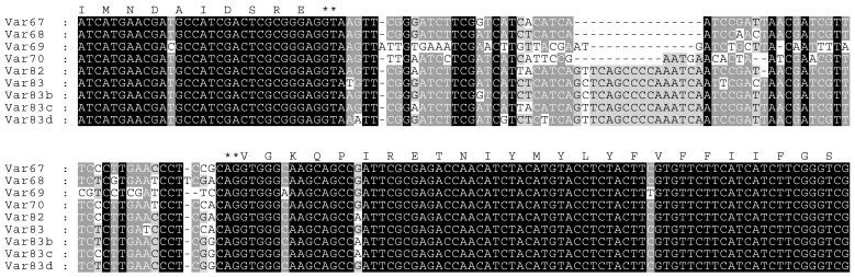 https://cdn.ncbi.nlm.nih.gov/pmc/blobs/2b4a/11122440/94ecc38697f6/insects-15-00358-g005.jpg