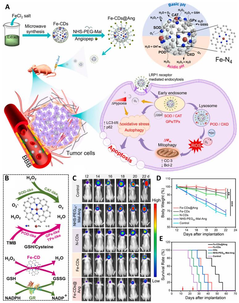 https://cdn.ncbi.nlm.nih.gov/pmc/blobs/2b4a/11280080/13ed4cb592f0/pharmaceutics-16-00942-g003.jpg