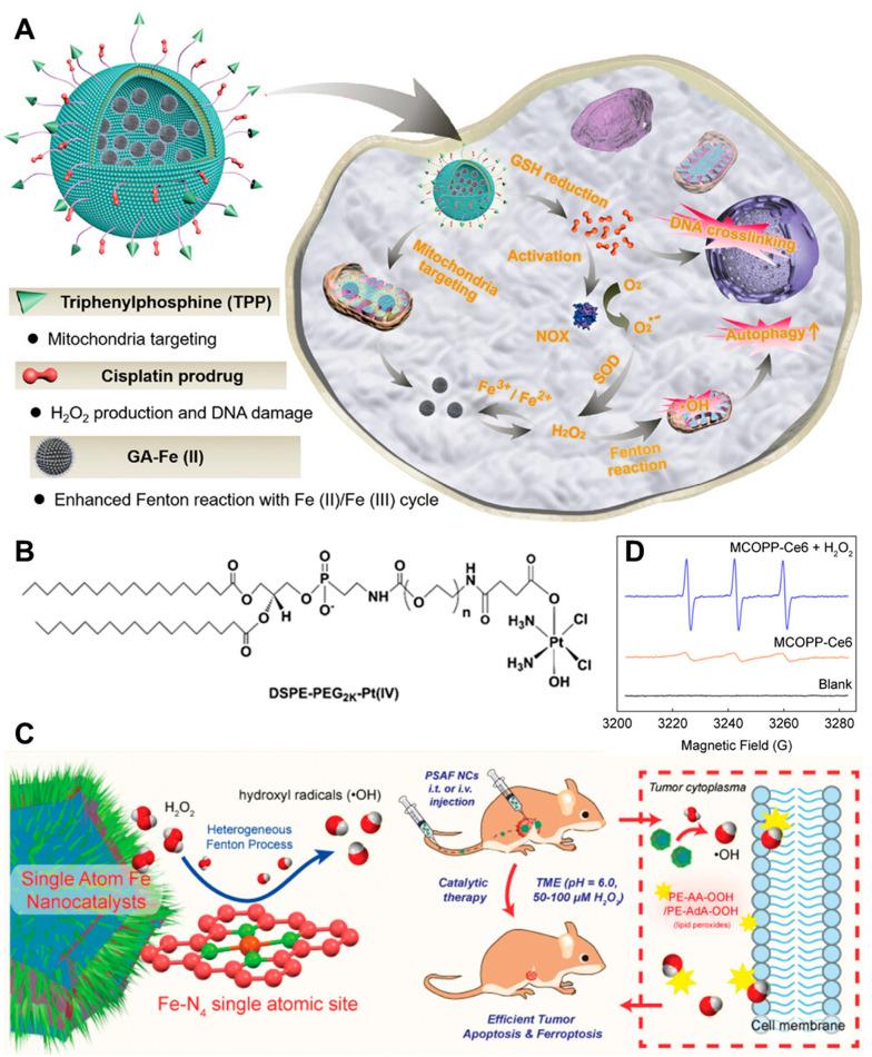 https://cdn.ncbi.nlm.nih.gov/pmc/blobs/2b4a/11280080/57b67a080e89/pharmaceutics-16-00942-g002.jpg