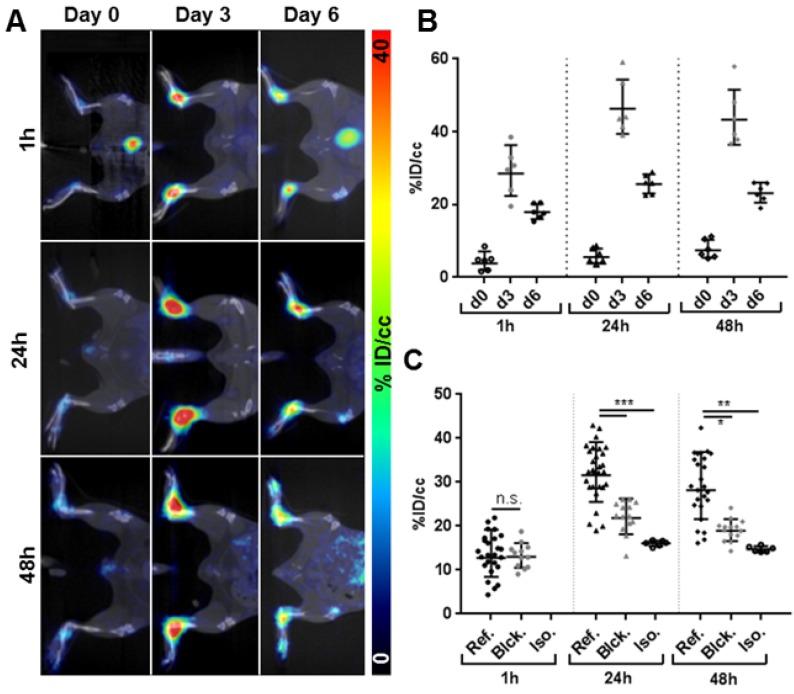 https://cdn.ncbi.nlm.nih.gov/pmc/blobs/2b4a/6568181/4b49337e5adc/thnov09p2868g004.jpg