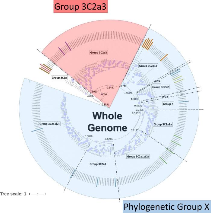 https://cdn.ncbi.nlm.nih.gov/pmc/blobs/2b4a/9063638/02ccf19df8f8/fmicb-13-809887-g001.jpg